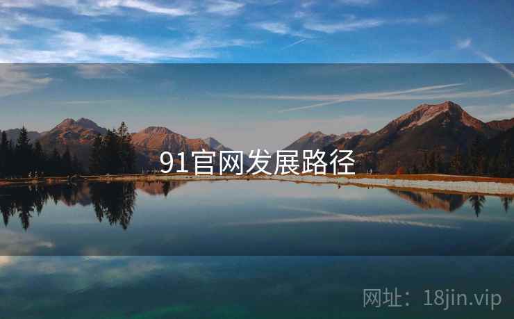 91官网发展路径