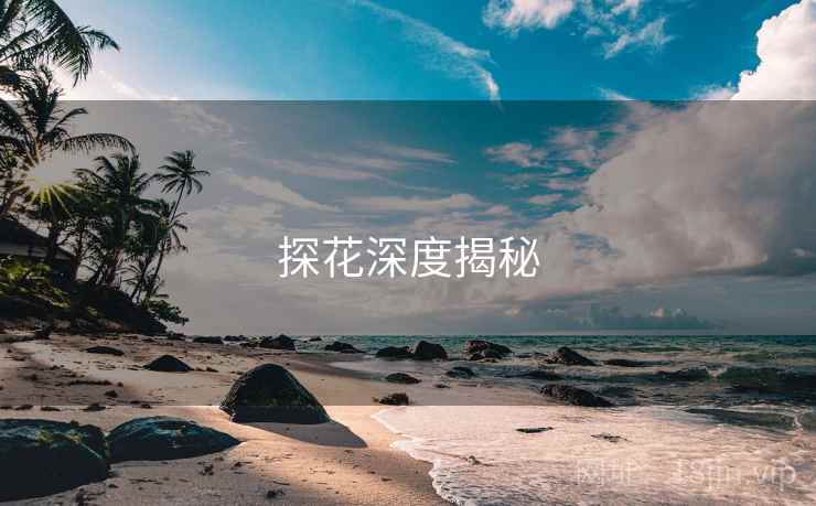 探花深度揭秘