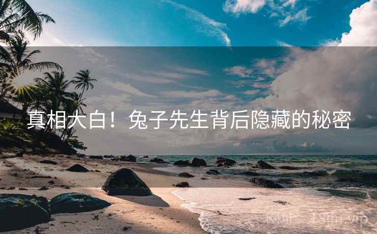 真相大白！兔子先生背后隐藏的秘密