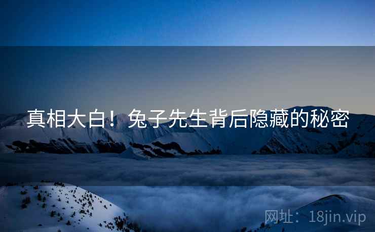 真相大白！兔子先生背后隐藏的秘密