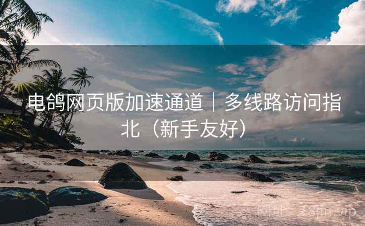 电鸽网页版加速通道｜多线路访问指北（新手友好）