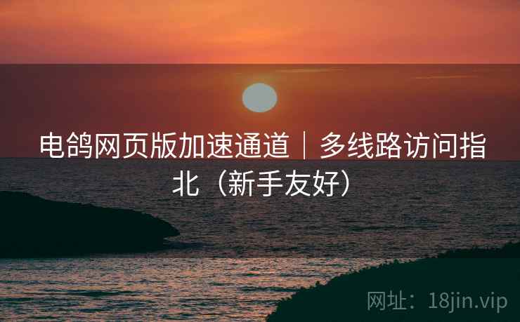 电鸽网页版加速通道｜多线路访问指北（新手友好）