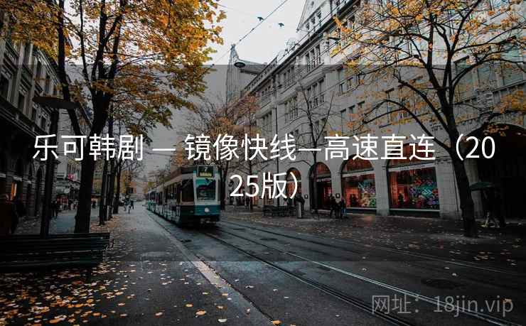乐可韩剧 — 镜像快线—高速直连（2025版）