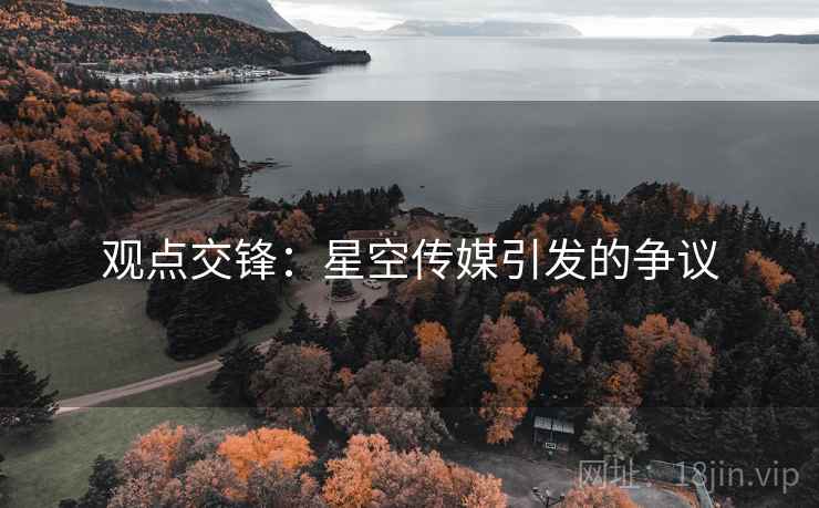 观点交锋：星空传媒引发的争议