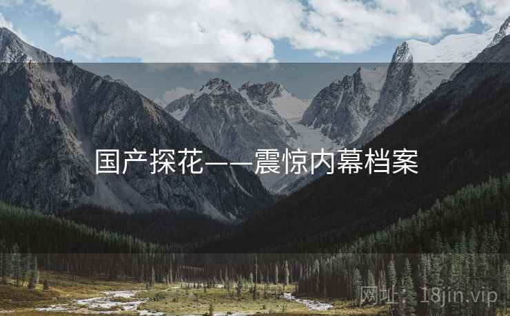 国产探花——震惊内幕档案
