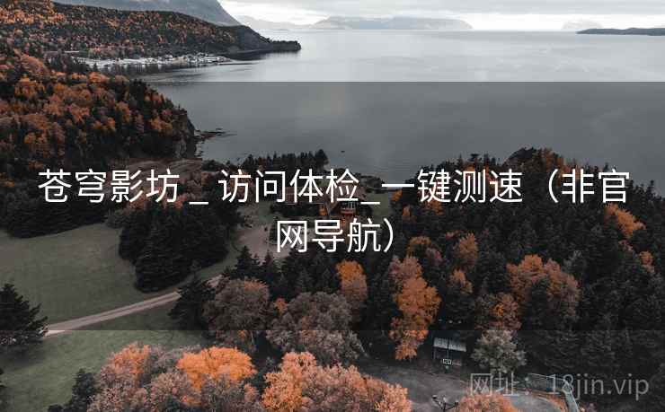 苍穹影坊 _ 访问体检_一键测速(非官网导航)