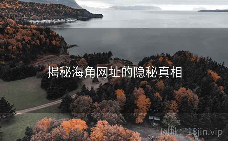 揭秘海角网址的隐秘真相