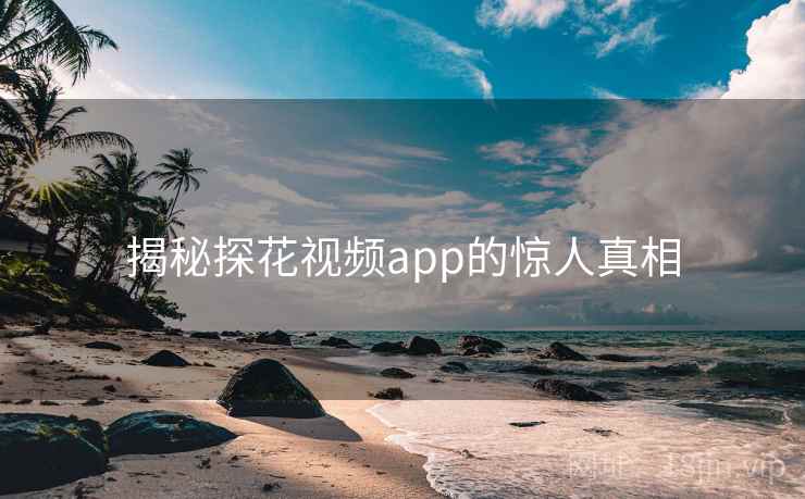 揭秘探花视频app的惊人真相