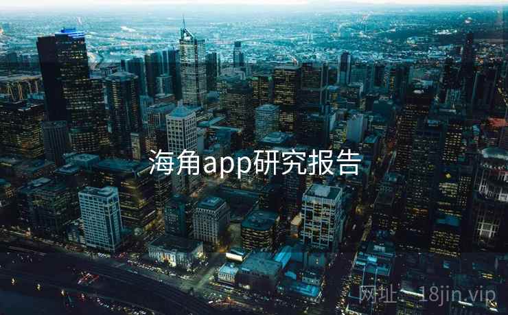海角app研究报告