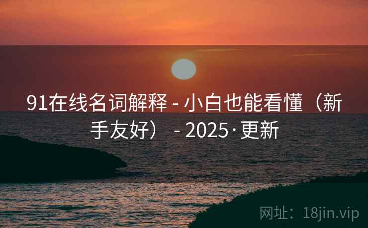 91在线名词解释 - 小白也能看懂(新手友好) - 2025·更新