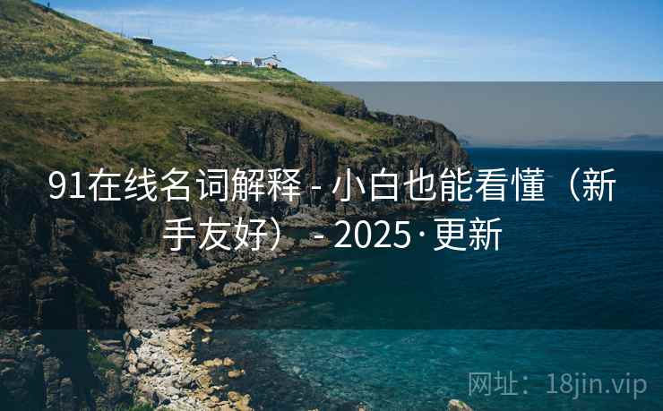 91在线名词解释 - 小白也能看懂(新手友好) - 2025·更新